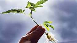 Thinkstock Photos 534110970 Use Fmt