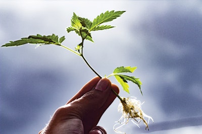 Thinkstock Photos 534110970 Use Fmt