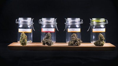 Webjars