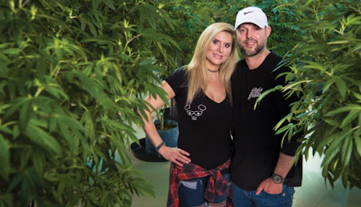 Boutique Cannabis On A Big Scale