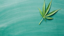 Cannabis Leaf On Chalkboard Dreamstime Credit Jiri Hera Resized