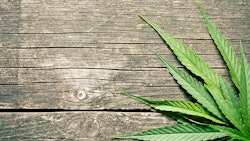 Cannabis Leaves On Wood Dreamstime Credit Jiri Hera Resized