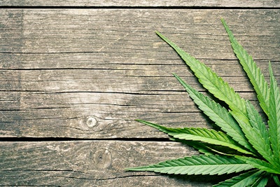 Cannabis Leaves On Wood Dreamstime Credit Jiri Hera Resized