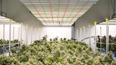 Fluence Spydr With Liv Well Enlightened Health Resized