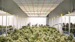 Fluence Spydr With Liv Well Enlightened Health Resized