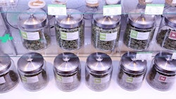 Medical Marijuana In Jars Dreamstime Credit Peter Kim Resized