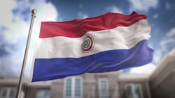 Paraguay Flag Dreamstime Credit Natanael Alfredo Nemanita Ginting Resized