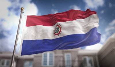 Paraguay Flag Dreamstime Credit Natanael Alfredo Nemanita Ginting Resized