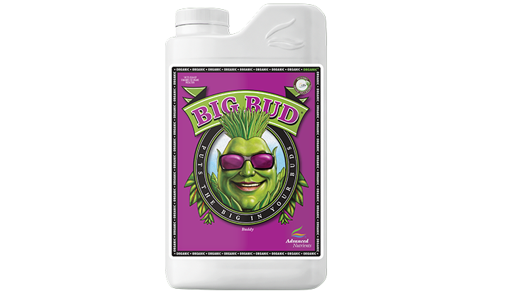 Product Image Oim Big Bud