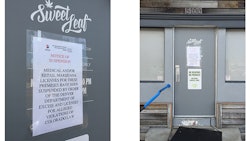 Sweetleaf
