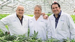 The Makings Of A Cannabis Titan