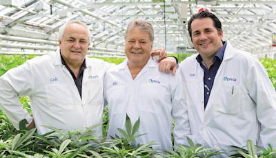 The Makings Of A Cannabis Titan