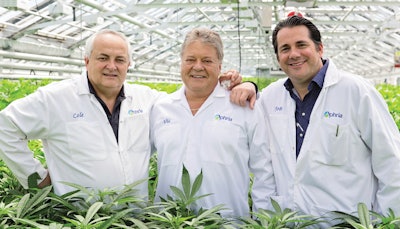 The Makings Of A Cannabis Titan