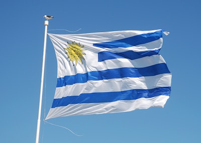 Uruguay Flag Dreamstime Credit Suricato Resized