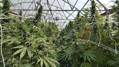 20170928 111208 Resized