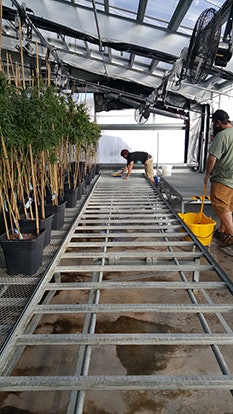 20171227 145551 Resized