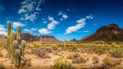 Arizona