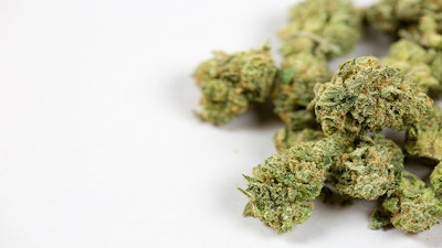 Buds