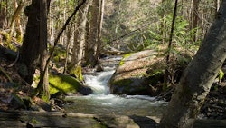 California Stream