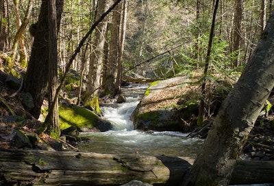 California Stream