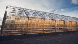 Greenhouse Adobe Stock Credit Alex Koch Resized