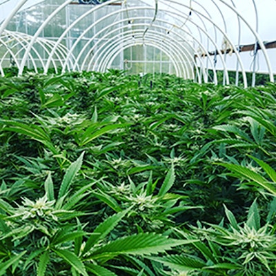 Img 20170707 171741 341 Resized