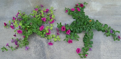 Porous Ceramic Resized