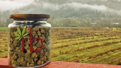 24294180 1957743664243056 1831024768915006813 N Fmt