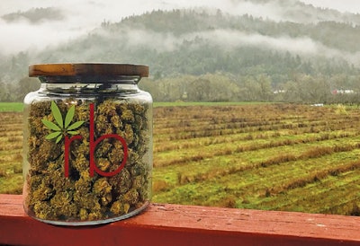 24294180 1957743664243056 1831024768915006813 N Fmt