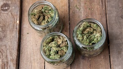 Buds In Glass Jars Adobe Stock Credit Aleksandar Kamasi Resized