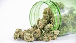 Buds In Jar Adobe Stock Credit Rgbspace Resized