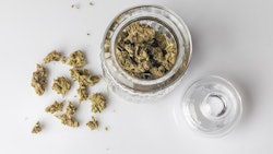 Cannabis Buds In Jar Adobe Stock Credit Ksu Bu Resized