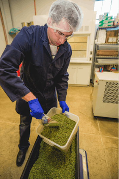 Cbt Mayflower Light Edit 36 Fmt