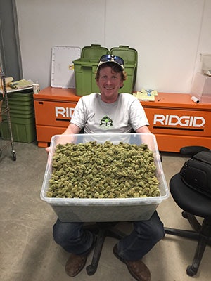 Cultivate Solutions Consulting2 Resized 300x400