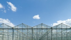 Greenhouses Adobe Stock Credit Hansenn Resized
