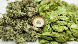 Guest Column Clarke Img 8047 Fmt