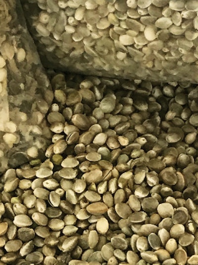 Hemp seeds from Hemp Crew Corp. in Canada. The company sells truckloads of seeds as dehulled hempseed and bird feed.