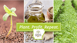 Tree Of Life Seeds Industrial Hemp Seminar Resized