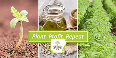 Tree Of Life Seeds Industrial Hemp Seminar Resized