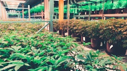 Adobe Stock 143237560 Fmt