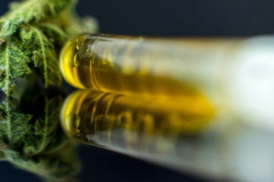 Adobe Stock 190768472 Fmt