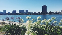California Oakland