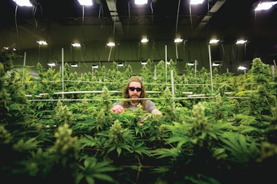 Cbt Terrapin Finals 3 Fmt