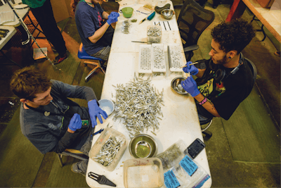 Cbt Terrapin Finals 5 Fmt