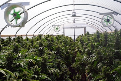 Indoor3