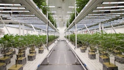 Reduce Operating Costs Franklin Bio Science With Fluence Bioengineering Led Grow Lights Resized