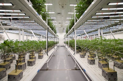 Reduce Operating Costs Franklin Bio Science With Fluence Bioengineering Led Grow Lights Resized