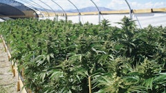 10 Crucial Facility Design Considerations2