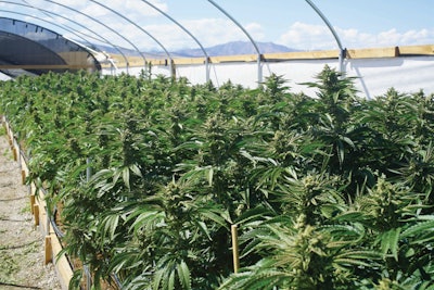 10 Crucial Facility Design Considerations2