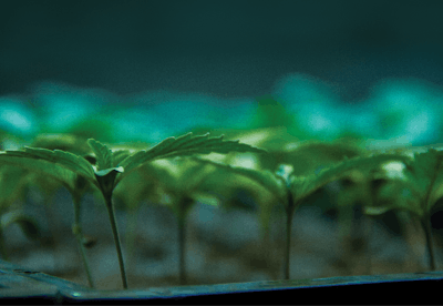 Adobe Stock 142364612 Fmt